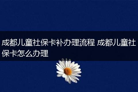 成都儿童社保卡补办理流程 成都儿童社保卡怎么办理