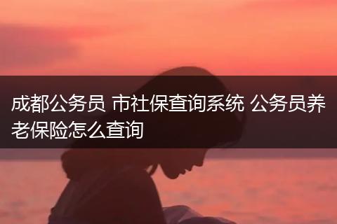 成都公务员 市社保查询系统 公务员养老保险怎么查询