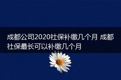 成都公司2020社保补缴几个月 成都社保最长可以补缴几个月