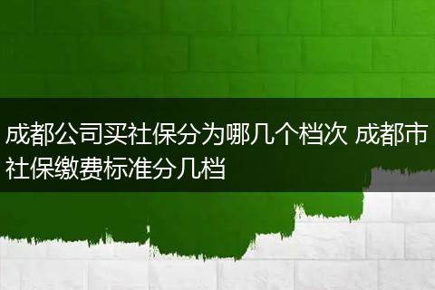 成都公司买社保分为哪几个档次 成都市社保缴费标准分几档