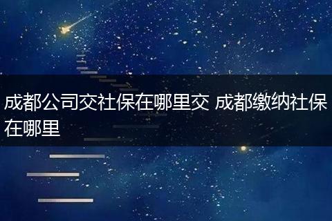 成都公司交社保在哪里交 成都缴纳社保在哪里