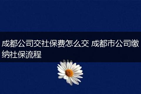 成都公司交社保费怎么交 成都市公司缴纳社保流程