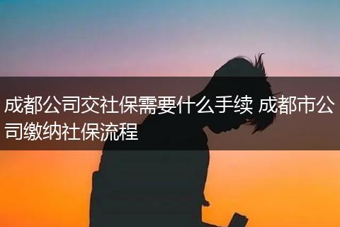 成都公司交社保需要什么手续 成都市公司缴纳社保流程
