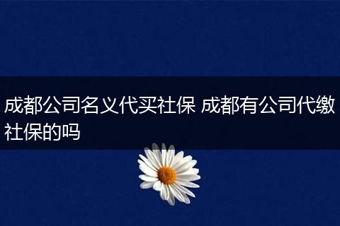 成都公司名义代买社保 成都有公司代缴社保的吗