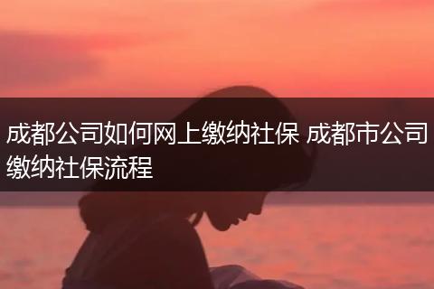 成都公司如何网上缴纳社保 成都市公司缴纳社保流程
