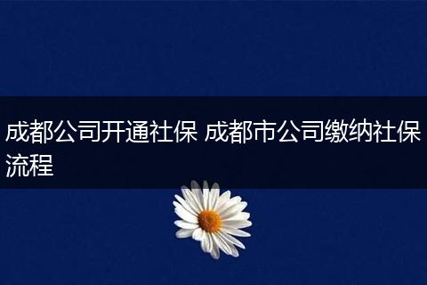 成都公司开通社保 成都市公司缴纳社保流程