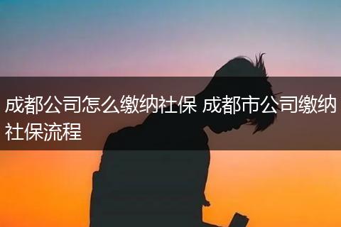 成都公司怎么缴纳社保 成都市公司缴纳社保流程