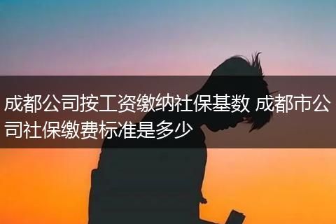 成都公司按工资缴纳社保基数 成都市公司社保缴费标准是多少