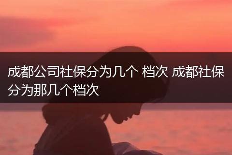 成都公司社保分为几个 档次 成都社保分为那几个档次