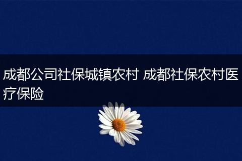 成都公司社保城镇农村 成都社保农村医疗保险