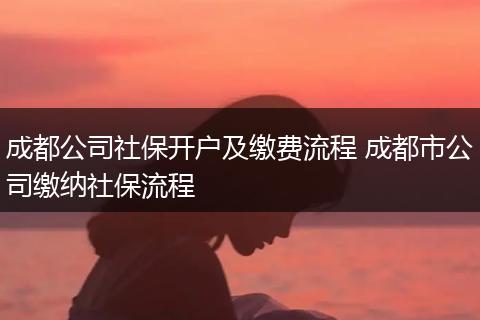 成都公司社保开户及缴费流程 成都市公司缴纳社保流程