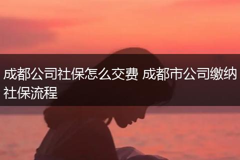 成都公司社保怎么交费 成都市公司缴纳社保流程
