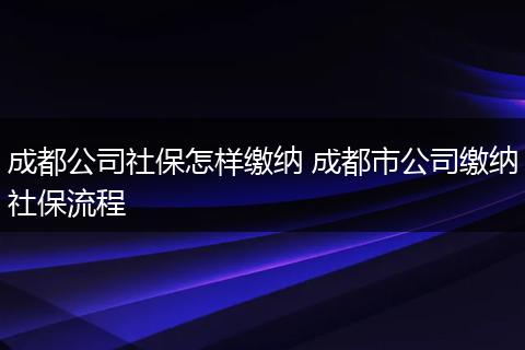 成都公司社保怎样缴纳 成都市公司缴纳社保流程
