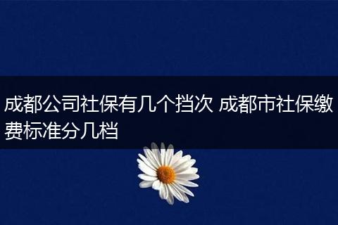 成都公司社保有几个挡次 成都市社保缴费标准分几档