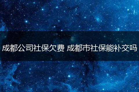 成都公司社保欠费 成都市社保能补交吗