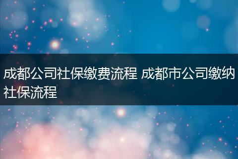 成都公司社保缴费流程 成都市公司缴纳社保流程