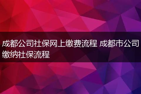 成都公司社保网上缴费流程 成都市公司缴纳社保流程