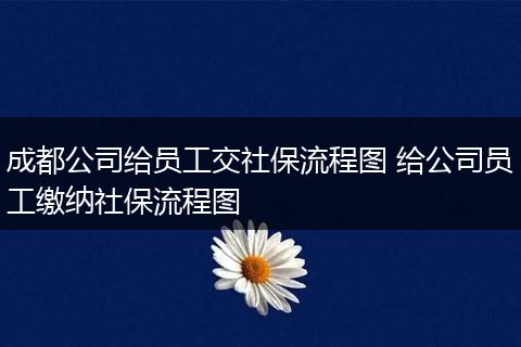 成都公司给员工交社保流程图 给公司员工缴纳社保流程图