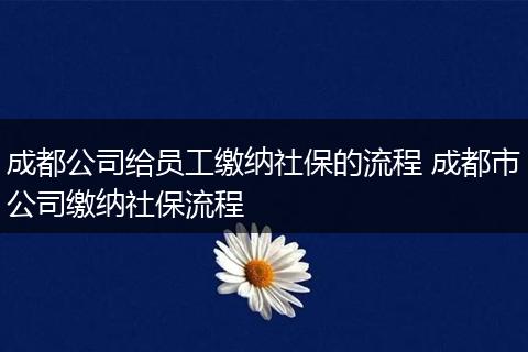 成都公司给员工缴纳社保的流程 成都市公司缴纳社保流程
