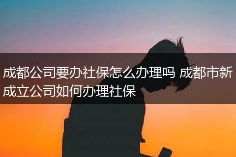 成都公司要办社保怎么办理吗 成都市新成立公司如何办理社保