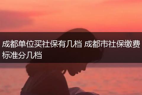 成都单位买社保有几档 成都市社保缴费标准分几档