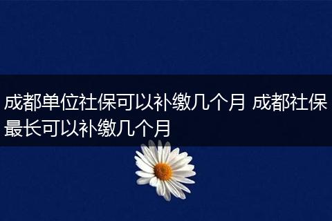 成都单位社保可以补缴几个月 成都社保最长可以补缴几个月