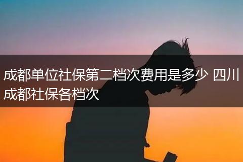 成都单位社保第二档次费用是多少 四川成都社保各档次