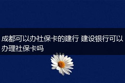 成都可以办社保卡的建行 建设银行可以办理社保卡吗