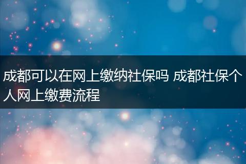 成都可以在网上缴纳社保吗 成都社保个人网上缴费流程