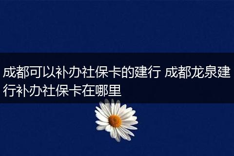 成都可以补办社保卡的建行 成都龙泉建行补办社保卡在哪里
