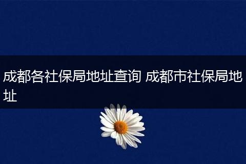 成都各社保局地址查询 成都市社保局地址