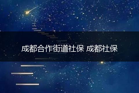 成都合作街道社保 成都社保
