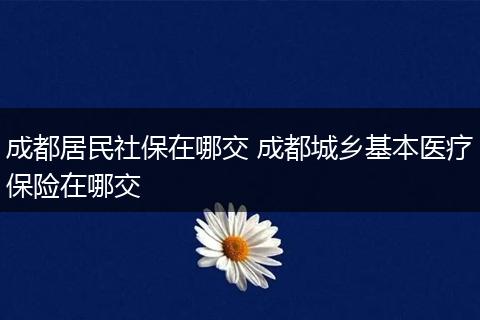 成都居民社保在哪交 成都城乡基本医疗保险在哪交