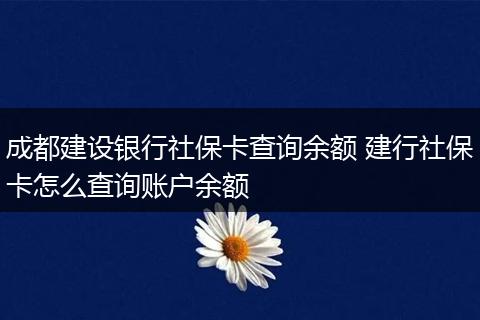 成都建设银行社保卡查询余额 建行社保卡怎么查询账户余额