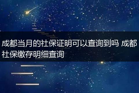 成都当月的社保证明可以查询到吗 成都社保缴存明细查询