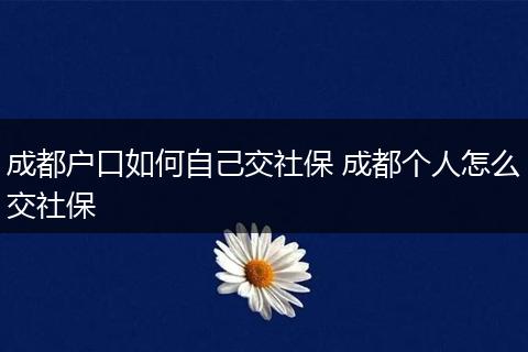成都户口如何自己交社保 成都个人怎么交社保