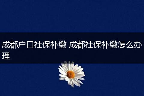 成都户口社保补缴 成都社保补缴怎么办理