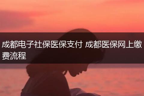 成都电子社保医保支付 成都医保网上缴费流程