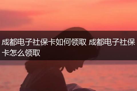 成都电子社保卡如何领取 成都电子社保卡怎么领取