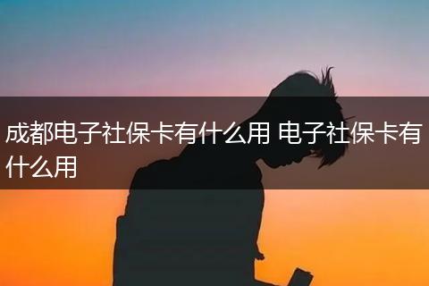 成都电子社保卡有什么用 电子社保卡有什么用