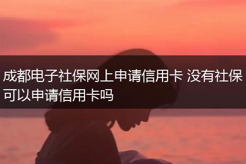 成都电子社保网上申请信用卡 没有社保可以申请信用卡吗
