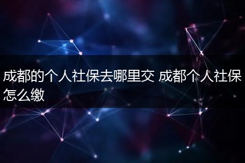 成都的个人社保去哪里交 成都个人社保怎么缴