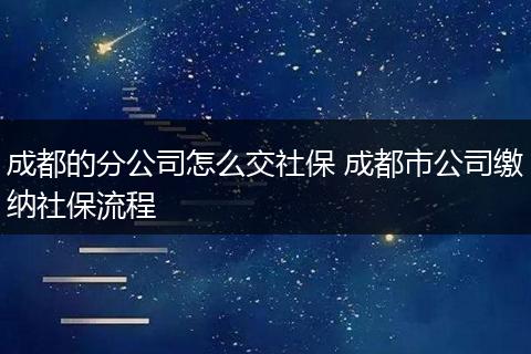 成都的分公司怎么交社保 成都市公司缴纳社保流程