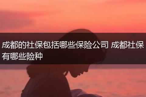 成都的社保包括哪些保险公司 成都社保有哪些险种