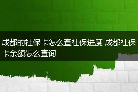 成都的社保卡怎么查社保进度 成都社保卡余额怎么查询