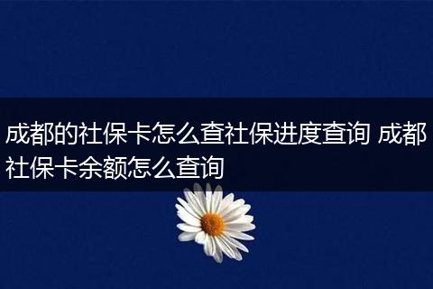 成都的社保卡怎么查社保进度查询 成都社保卡余额怎么查询