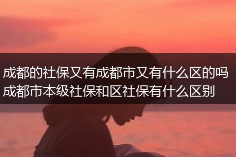 成都的社保又有成都市又有什么区的吗 成都市本级社保和区社保有什么区别