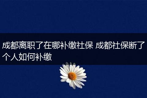 成都离职了在哪补缴社保 成都社保断了个人如何补缴