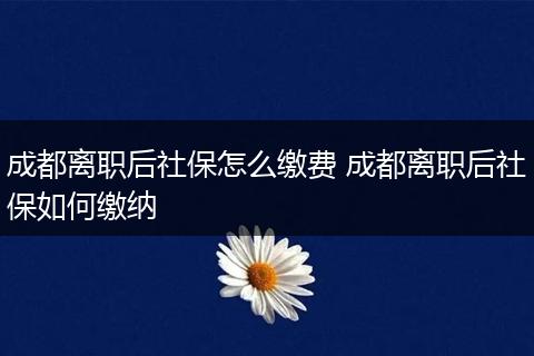 成都离职后社保怎么缴费 成都离职后社保如何缴纳