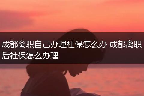 成都离职自己办理社保怎么办 成都离职后社保怎么办理